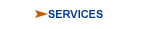 Services Link